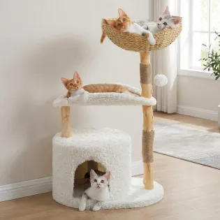 Small Fancy Cat Playground with Real Tree Trunks