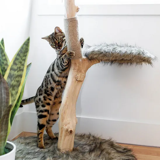 Solid wood tree trunk with jute scratching rope