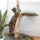 Solid wood tree trunk with jute scratching rope