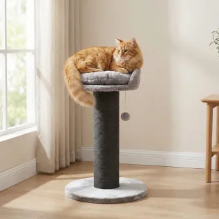 35" Tall Sisal Cat Scratching Post with Big Bed