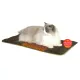 Indoor Thermo-Kitty Mat
