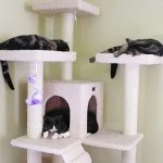 Three of our little devils sleeping on the cat tower.