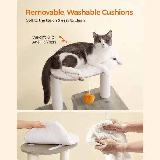 Perch on top with removable pad