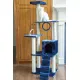 Play Cat Gym with Tunnel and House