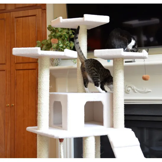 Two cats on top perches