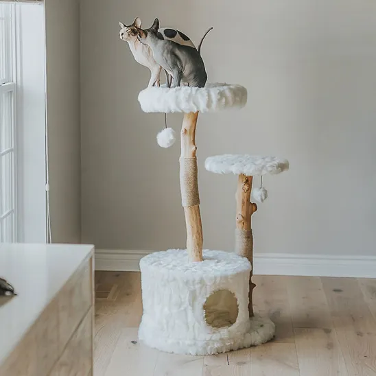 Unique cat tree in White