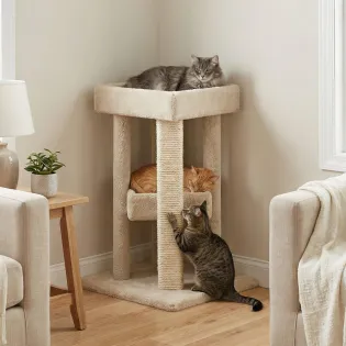 USA Made Carpet Cat Furniture for Large Cats with Wood Posts