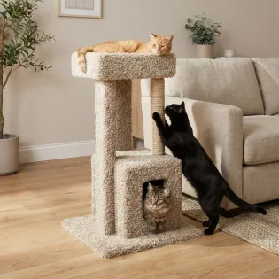 USA Carpet Cat Furniture with Sleeping Tray & Wooden Poles