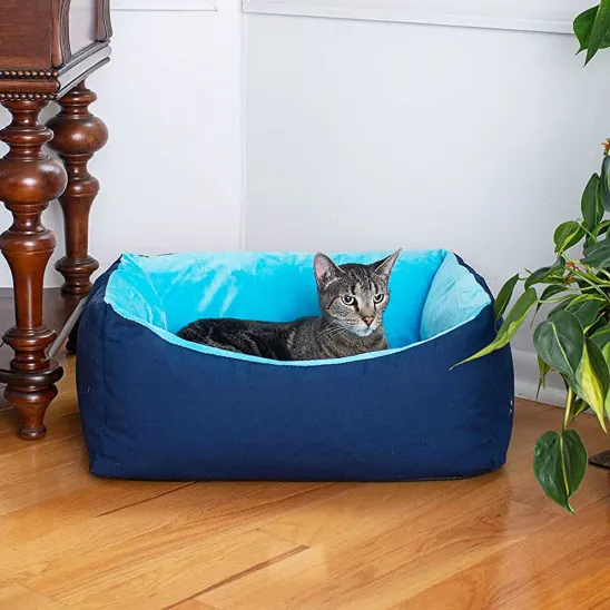 Blue Bed with Non-Slip Bottom