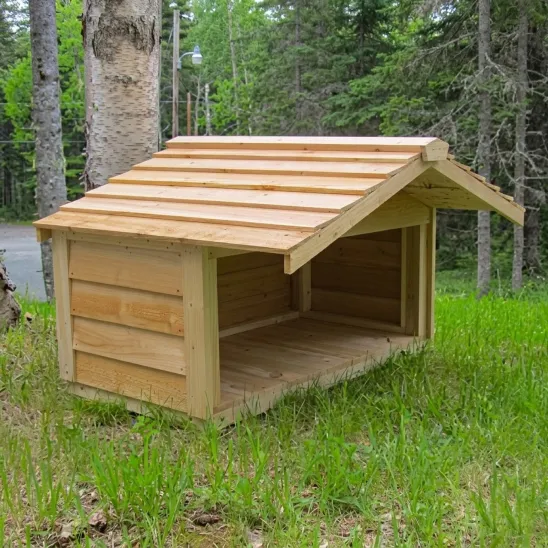 Feeding station for outdoor & feral cats