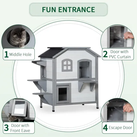 Some doors for cats fun