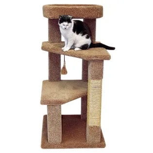 Wooden Carpeted Cat Tree for Senior Cats