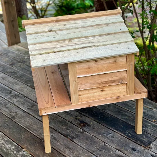 Elevated wooden feeding station for multiple feral/stray cats