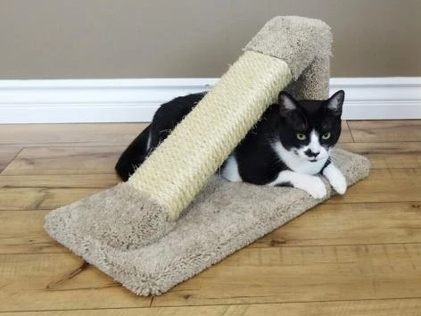 A cat is resting on a sisal/carpet triangle scratcher