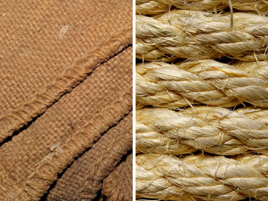 Difference between jute and sisal pictured