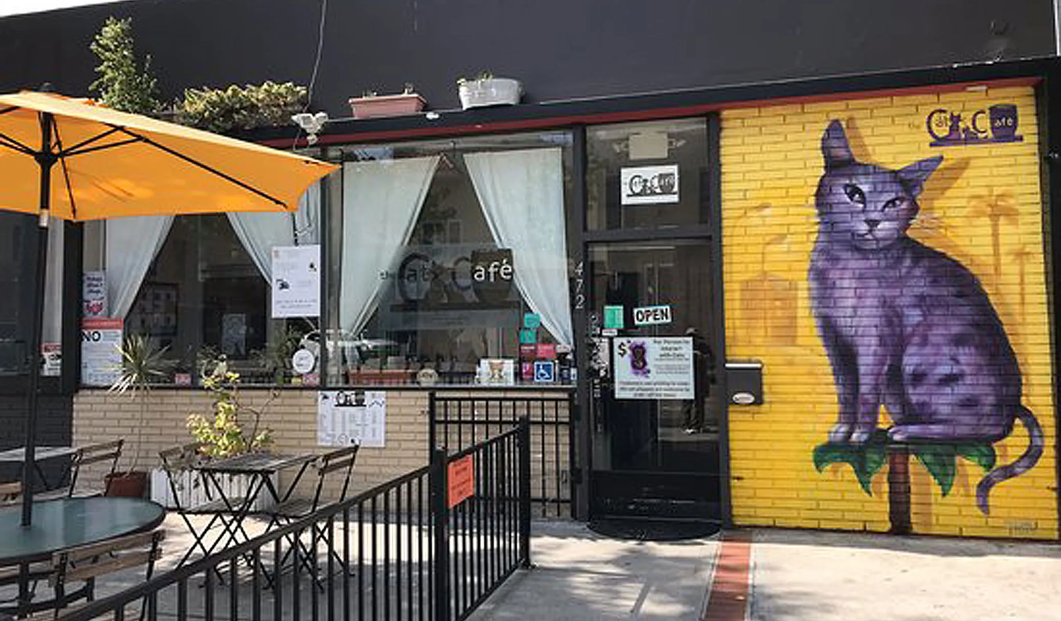 Cat Cafe, San Diego, California