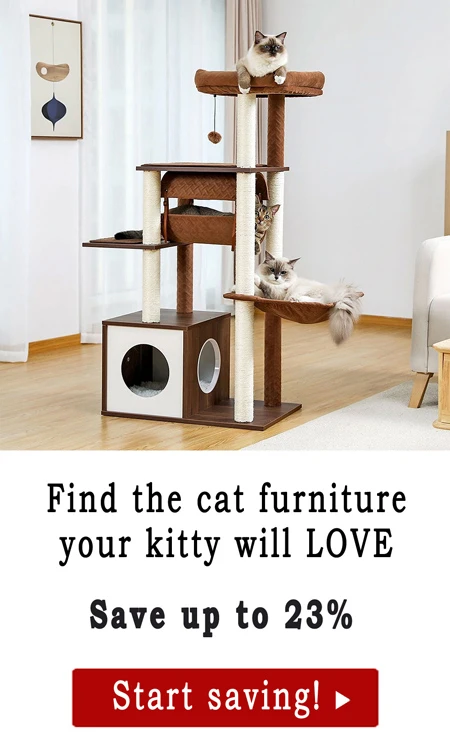 Find the furniture your kitty will LOVE