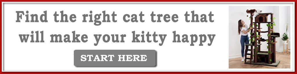 Find the right cat tree that will make your kitty happy