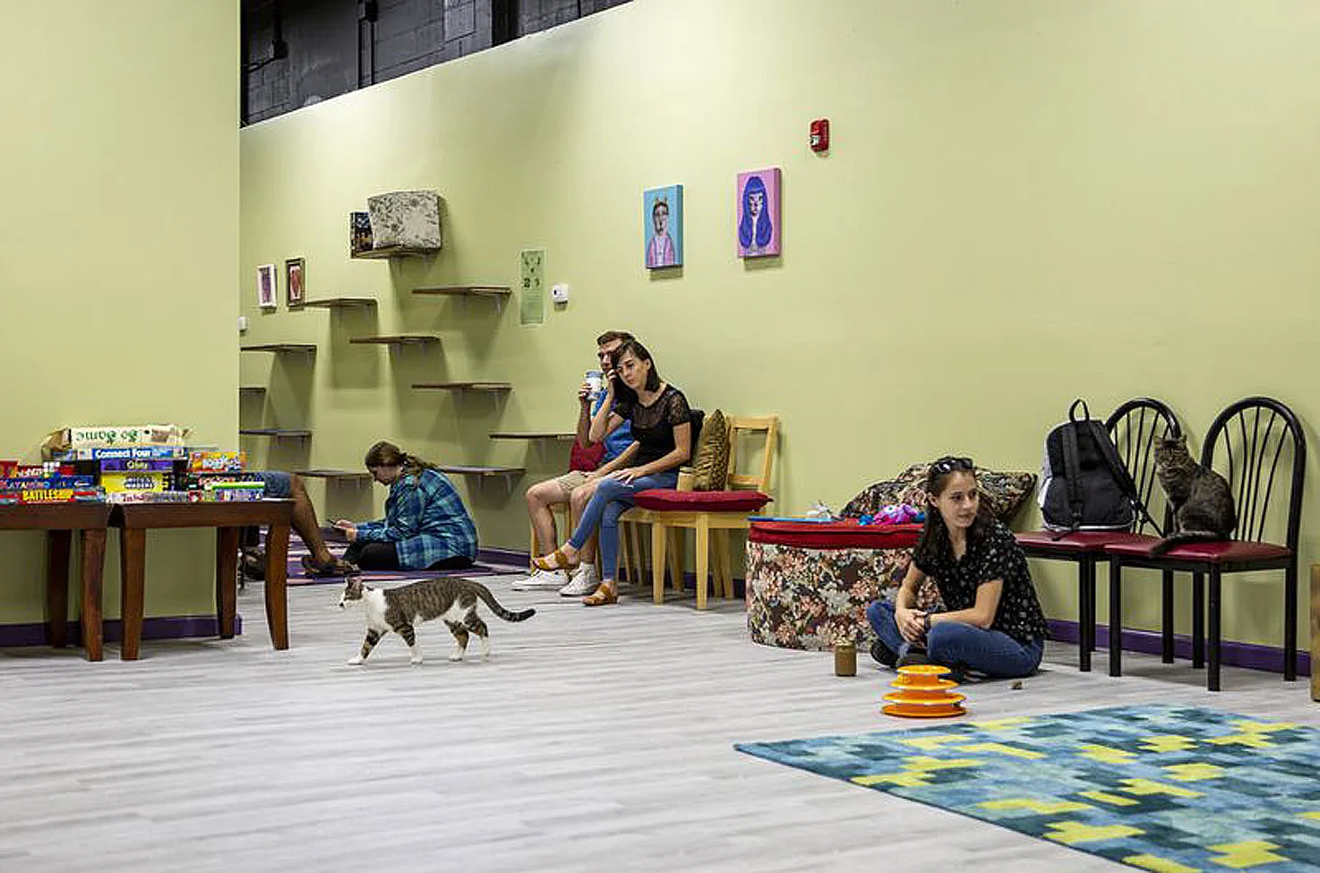 Kitty Beautiful Cafe in Orlando, Florida