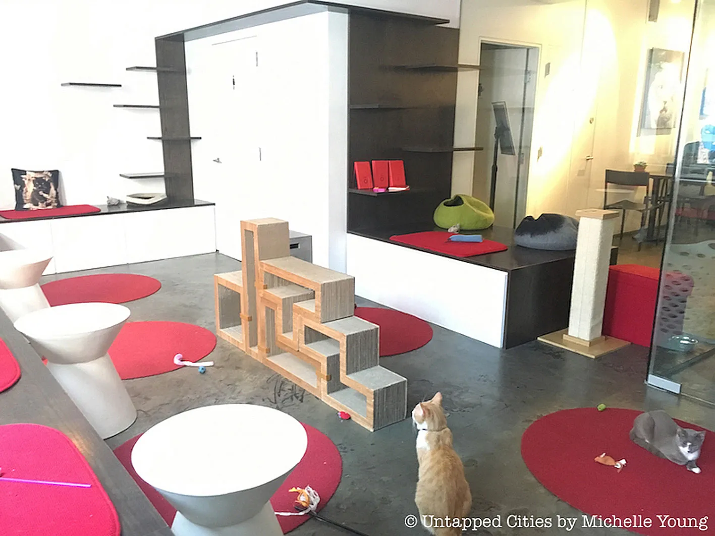 Koneko, New York City Cafe, NY