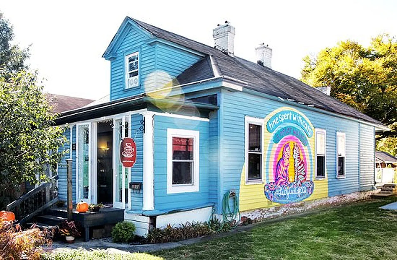 Lucky Cafe and Lounge with Kitties, Louisville, Kentucky