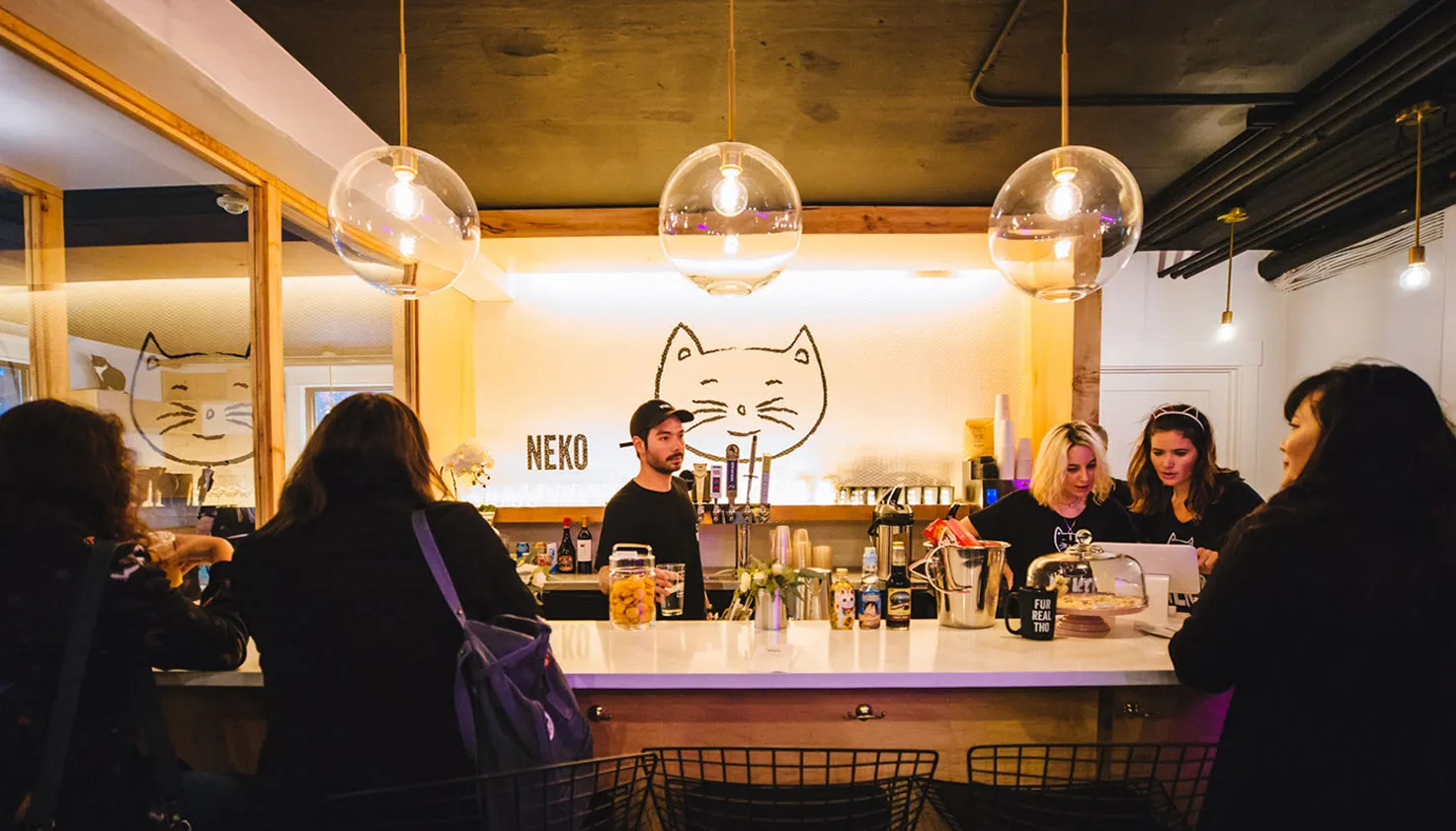 NEKO, Cat Cafe in Seattle, Washington
