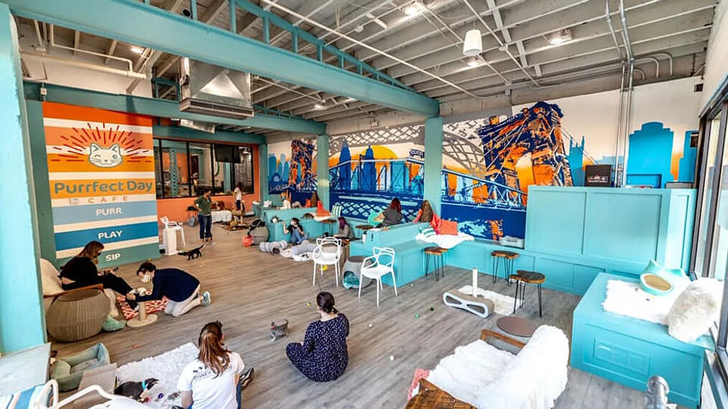 Louisville Purrfect Day Cafe with Cats, Kentucky