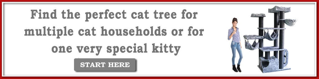 Find the large cat stands for multi-cat households