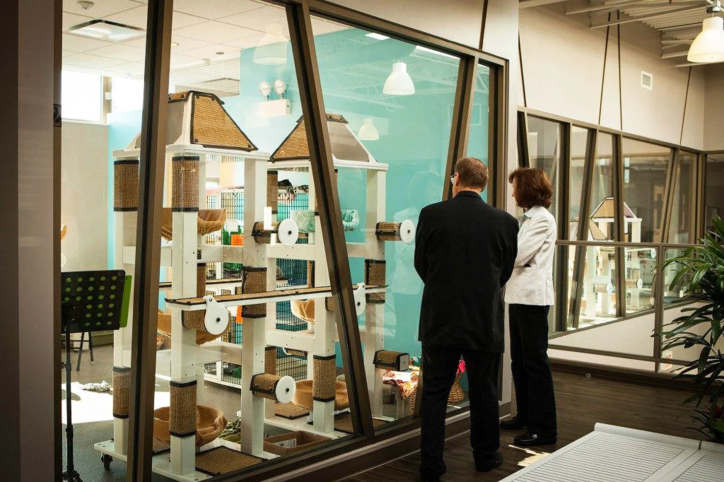 The Tree House, Cat Cafe in Chicago, Illinois