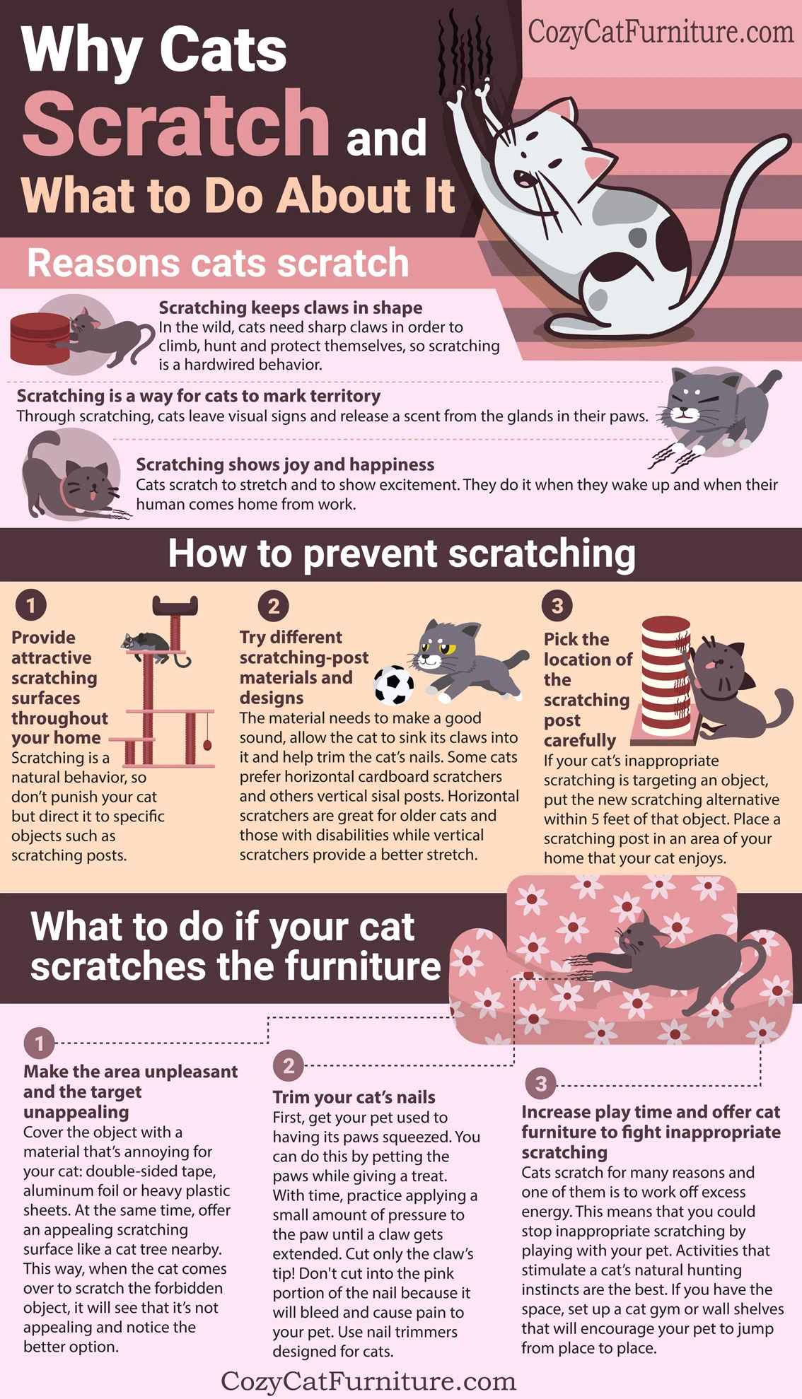 Infographic: Why cats scratch and what to do about it