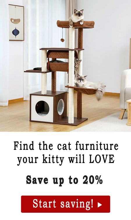 Find the cat furniture your kitty will LOVE