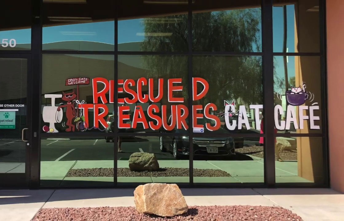 Rescued Treasures Cat Cafe in Las Vegas, Nevada